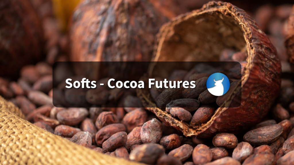Cocoa Prices Slump on Abundant Global Supplies