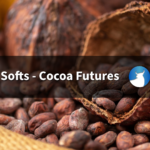 Smaller Ghana Cocoa Crop Supports Prices