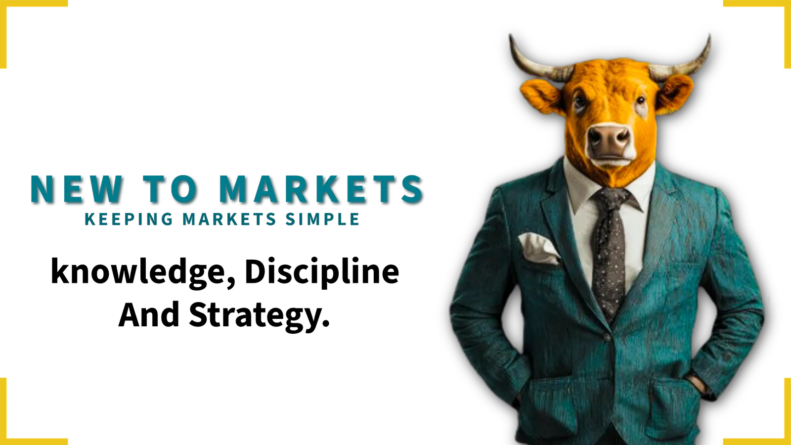 New to Markets Trading Education and Analysis