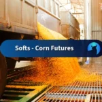 Corn Falls from Multi-Week Highs