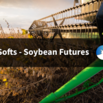 Soybeans Near 3-Week Top