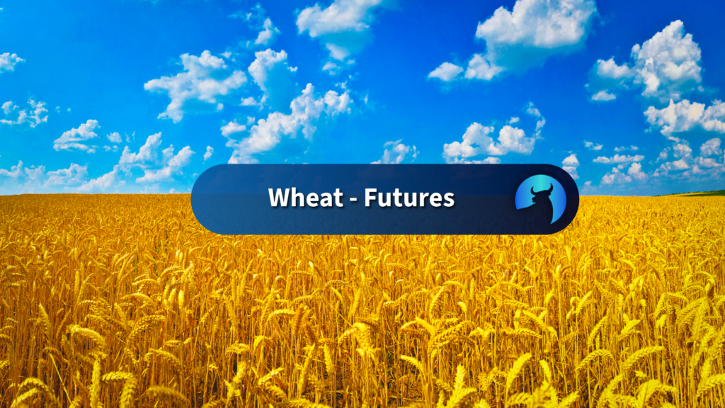 Wheat Futures Rise as Supply Concerns Persist