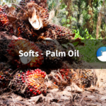 Palm Oil Rises on Export Strength, Firmer Edible Oils