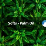 Palm Oil Set for Biggest Weekly Gain in Near Six Months