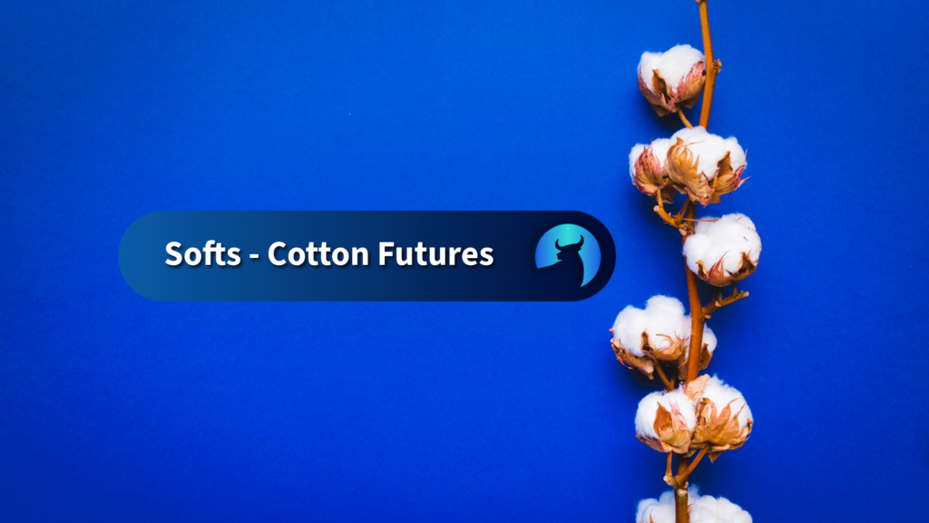 Cotton Moved into the Weekend with Strength