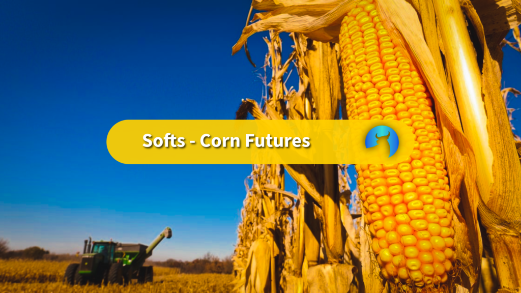 Corn Market Outlook: US Crop Estimates, Export Demand and Harvest Weather Drive Price Direction