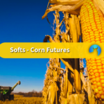 Corn Prices Plunge as US Stocks Surge Above Expectations and Harvest Supply Weighs on Outlook