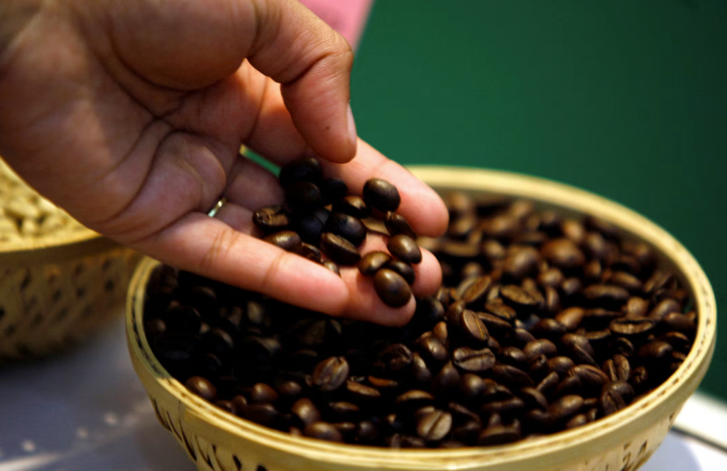 Arabica Coffee Falls Sharply on ICO Projections for Record Coffee Production