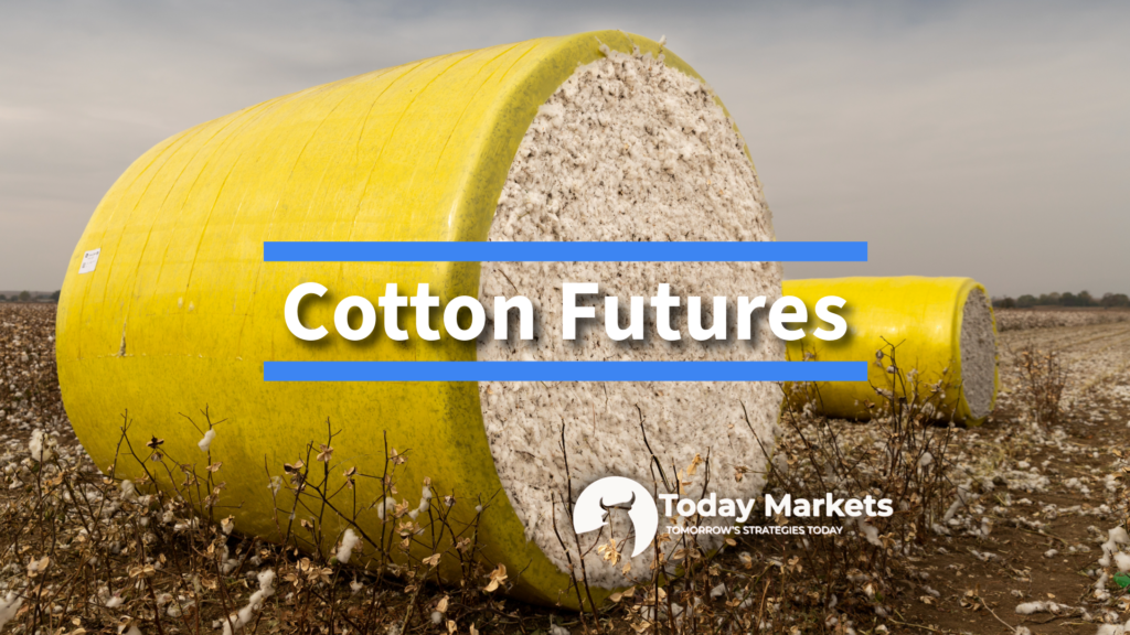 Cotton Price Forecast: Futures Edge Higher as Crude Oil and the US Dollar Strengthen