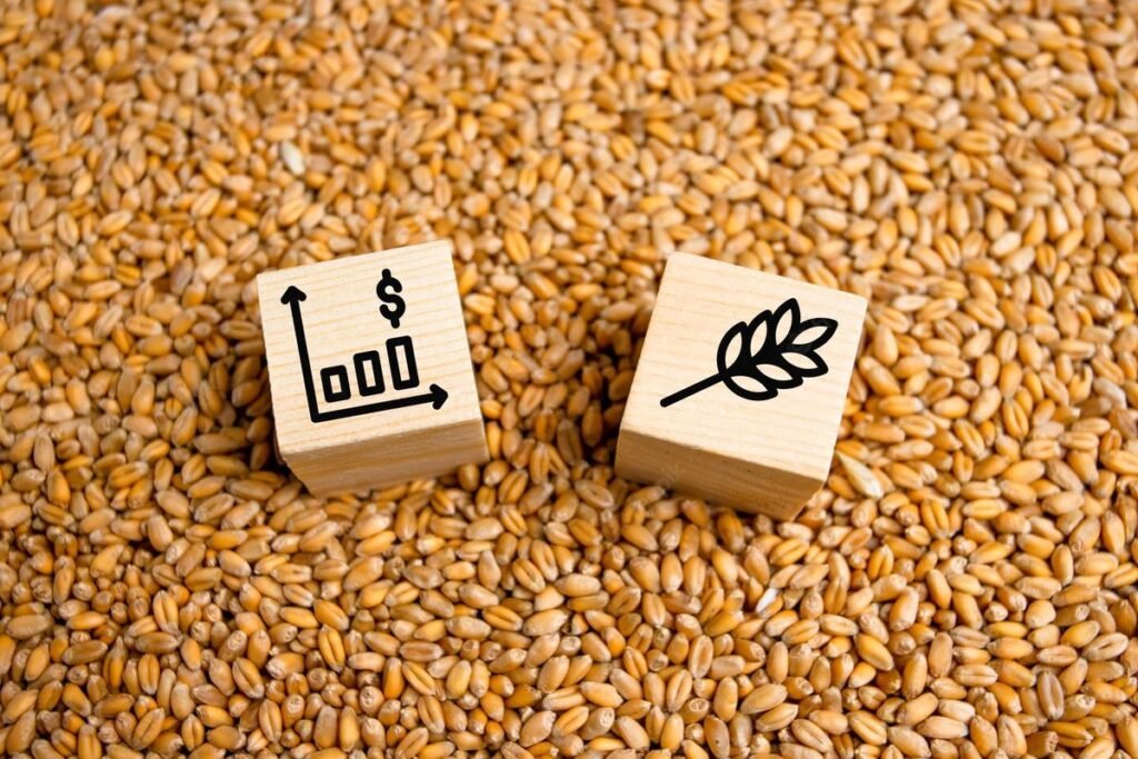 Wheat Prices Under Pressure as Weak US Export Demand and Expanding Rainfall Weigh on the Outlook