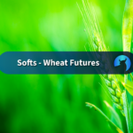 Wheat Futures Fall Across Chicago, Kansas City and Minneapolis as US Export Sales Lag and Funds Turn Bearish