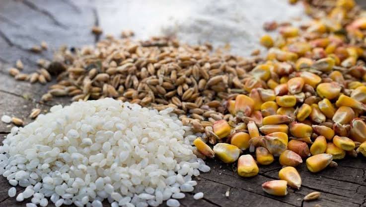 Agricultural Commodities Forecast: Oats and Sugar Fall as Rice and Corn Advance